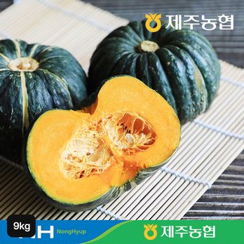 26년 제주농협 미니 단호박 9kg
