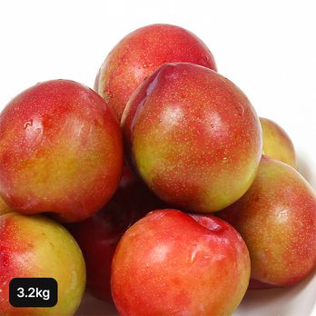 열매나무 경북 햇 포모사 자두 3.2kg