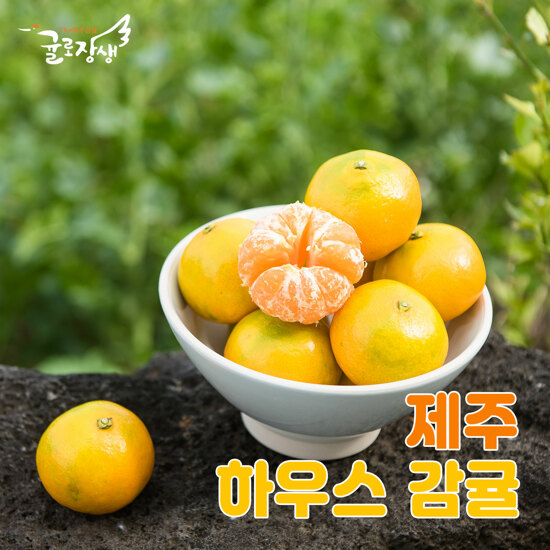 [농할] 국내산 햇 제주감귤 3kg (2S∼L) 3