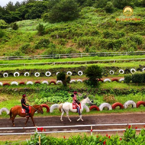 [*빛나는제주] 제주도 3박4일 19만9천원부터, 항공+호텔 3박+식사7회 포함!! 4