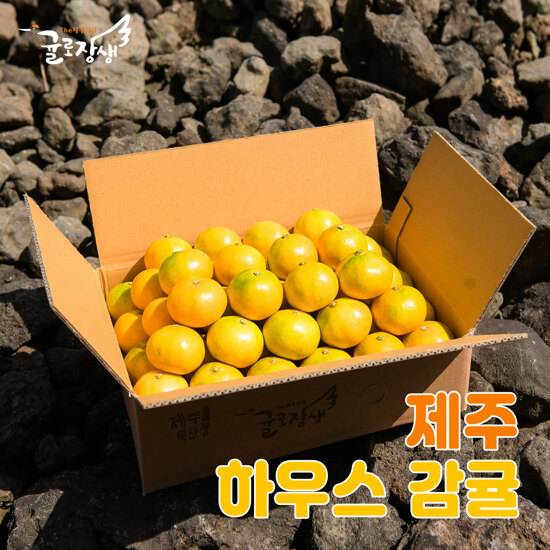 [농할] 국내산 햇 제주감귤 3kg (2S∼L)