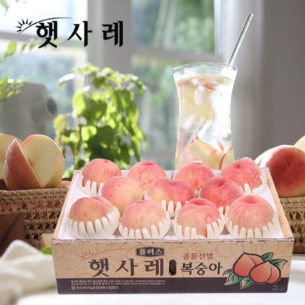 2026 햇사레 복숭아 6kg(3kg*2박스)_백도그레이트L~2L사이즈/230g~375g
