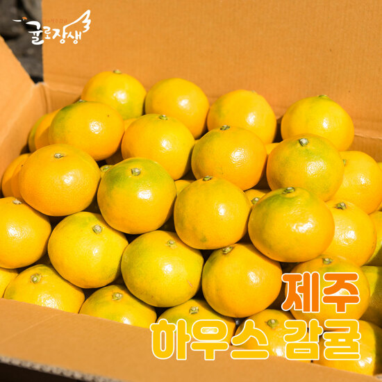 [농할] 국내산 햇 제주감귤 3kg (2S∼L) 2