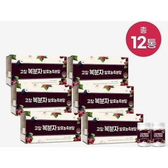 고창복분자 발효농축분말 12통+스푼 5개