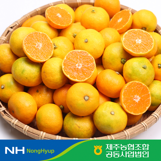 [제주농협] 귤로장생 하우스 감귤 3.5kg / 2S~L사이즈