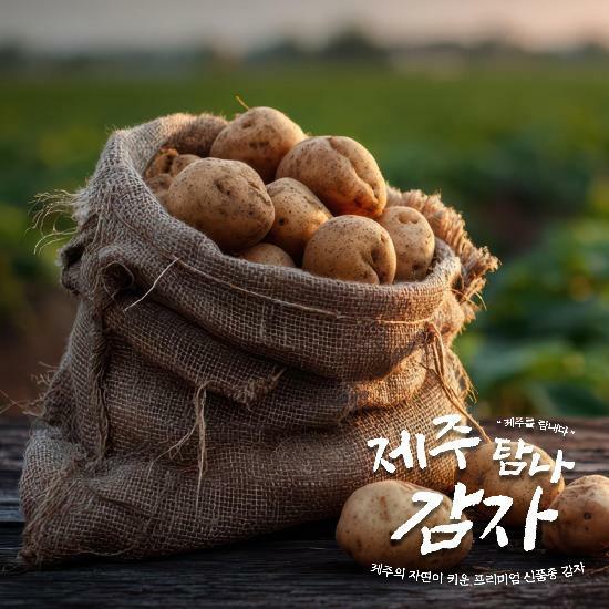 [카드 5%할인]제주 탐나 감자(10kg/개당 140g 이상) 2