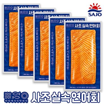 사조 연어회 200gX5팩(총 1kg)+해동지 5장