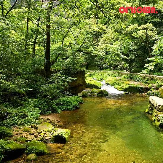 [여행의신세계]여기어때 장가계 5일 2대야경+5성급호텔 4연박 299천원/399천원 3