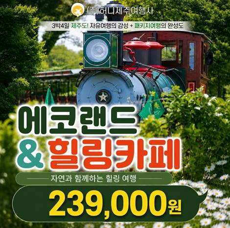 허니제주 제주 에코랜드& 힐링카페투어 4일 패키지