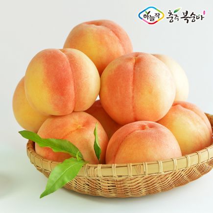 (특등급) 하늘작 충주 복숭아 2.5kg×2상자 2