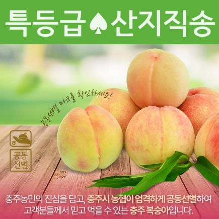 (특등급) 하늘작 충주 복숭아 2.5kg×2상자