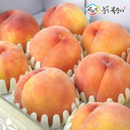 (특등급) 하늘작 충주 복숭아 2.5kg×2상자 4