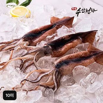 (방송에서만 3팩 더)수산천하 더 커진 국내산 손질 통오징어 10미