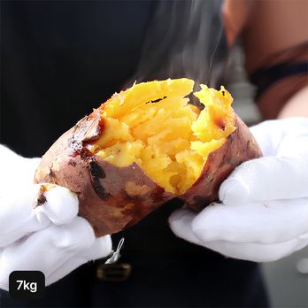 26년 햇 특등급 해남 호박고구마 3.5kg+3.5kg (총 7kg)