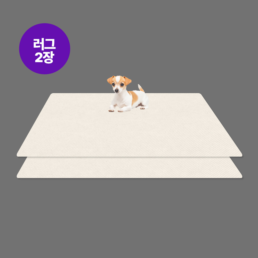 [1+1/강아지매트/펫매트/애견매트]  미끄럼방지 러그형 2장