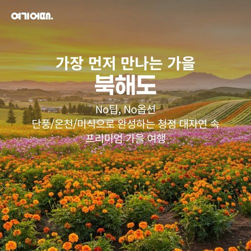 [NO팁 NO옵션]프리미엄 가을 북해도 4일(요테이산 뷰 힐튼호텔+시내호텔 연박)
