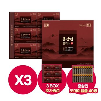 홍삼진플러스 3박스(90포)+3박스(90포)+굿데이앰플 2박스(40병)+쇼핑백 8개