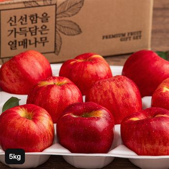 열매나무 못난이 햇 홍로사과 2.5kg+2.5kg