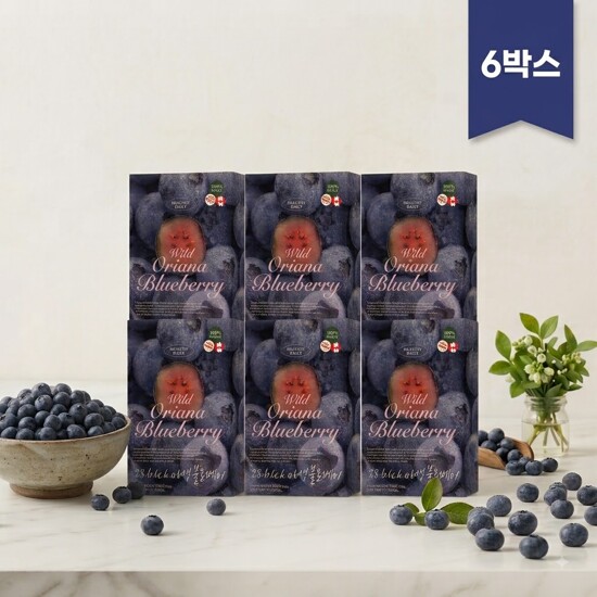 (총 6박스) 오리아나 캐나다 야생 블루베리 100% 6박스 (20gx14포x6박스)
