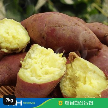 해남 화산농협 햇 밤고구마 4kg+호박고구마4kg