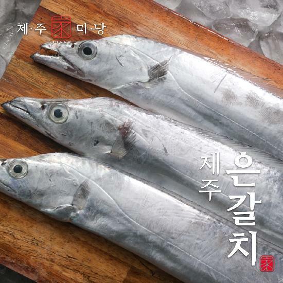 [카드 5%할인](방송에서만 4토막 더)제주가마당 제주 특대 은갈치 300g x 20토막+4토막, 총 24토막 2