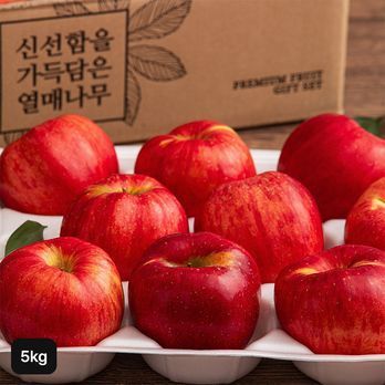 열매나무 못난이 햇 홍로사과 2.5kg+2.5kg