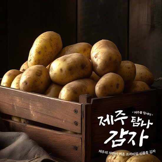 [농할] 국내산 제주탐나감자 5kg(개당 중량 130g내외) 2