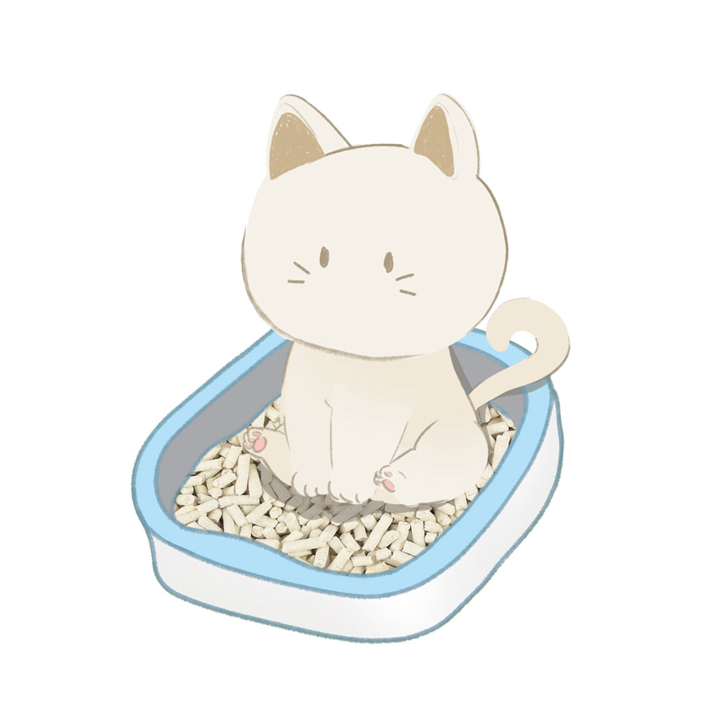 파미데이즈 고양이모래 두부모래 오리지널 (가는입자) 2.8kg x 6개 3