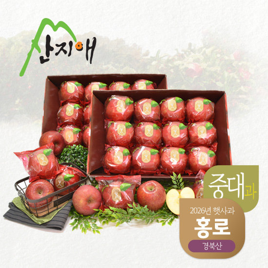 산지애 홍로 사과 6kg (3kg*2박스)