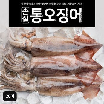 (방송중 4마리더)자연산 손질 통오징어 20마리(240g(2마리) x 10팩)