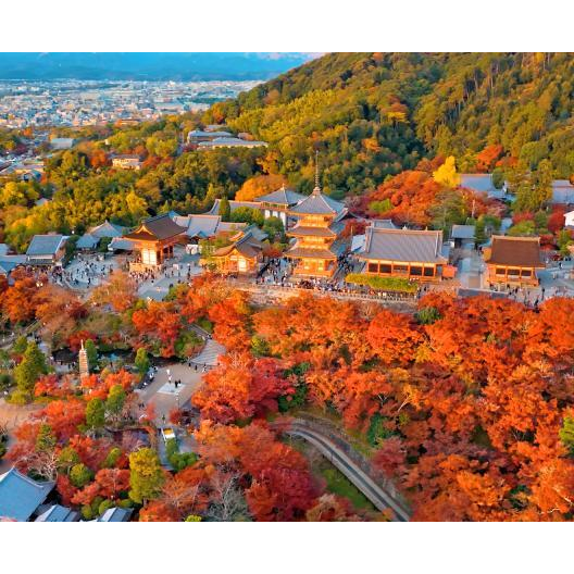 [상담예약] 참좋은여행 규슈 4일 패키지