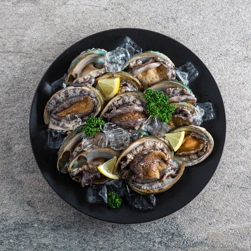 [산지직송] 청진수산 전복 대왕특大사이즈 12미(마리당 120g~140g내외) 총 1.44kg이상