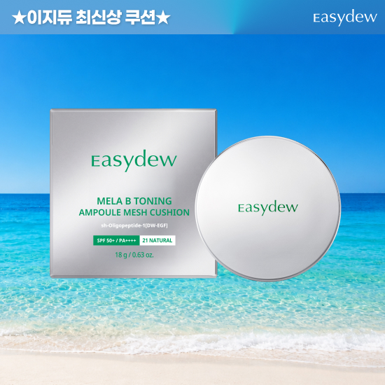 대웅제약 아이스 메쉬쿠션 본품 1개