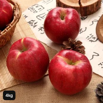 내입에 못난이 햇사과(홍로) 4kg