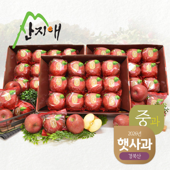 산지애 햇사과 8.1kg (2.7kg*3박스)