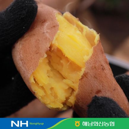 2026 화산농협 해남 황토 호풍미8kg