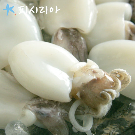 [정상가39,900원][피시리아]자연산 손질 갑오징어 200g * 6팩(54~72미)/총 1.2kg 3