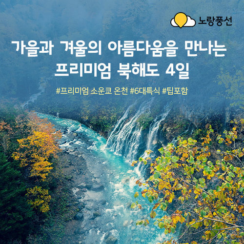 [노랑풍선] [프리미엄팩] 낭만과 축제가 있는 북해도 4일 ★NO옵션 ★NO팁 ★