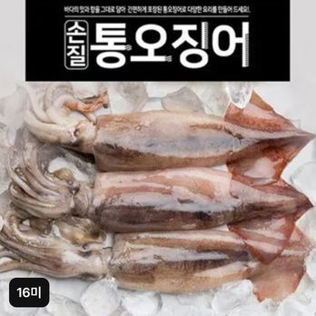 자연산 손질 통오징어 16마리(240g(2마리) x 8팩)
