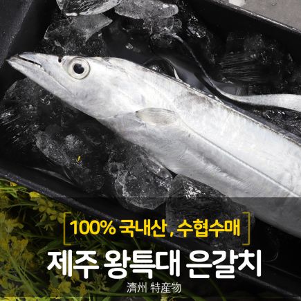 제주은갈치 왕특대 420g×4마리 