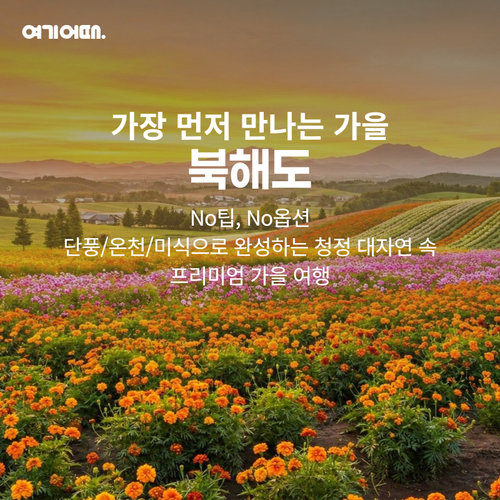[NO옵션 NO팁]전일정 온천 가능, 북해도 4일(요테이산 뷰 힐튼+삿포로 시내연박)