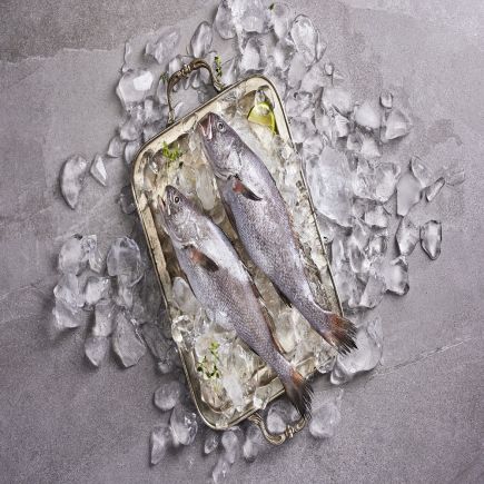 [우리참바다] 국내산 반건조 대 통민어 260g×13마리