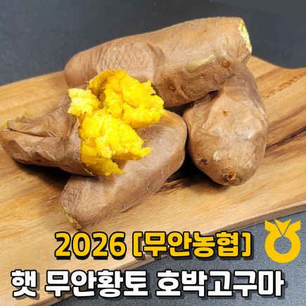  [무안농협] 햇 무안황토 고구마(호풍미) 8kg
