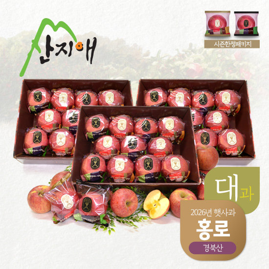 산지애 햇사과 홍로 9kg (3kg*3박스, 총 24~36과, 대과)