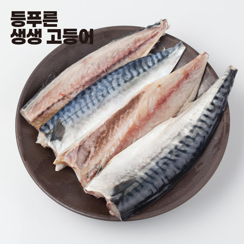 [국내산]등푸른 생생 고등어 44쪽(11쪽x4봉)