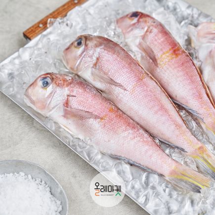 제주 통옥돔 160g 9마리 2