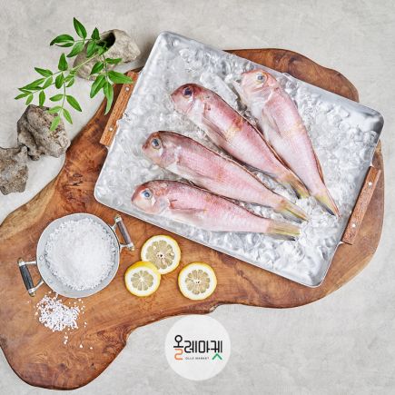 제주 통옥돔 160g 9마리