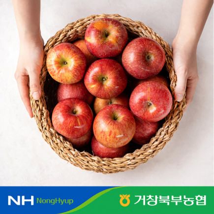 2026 거창 햇 홍로사과 3kg(10-12개)