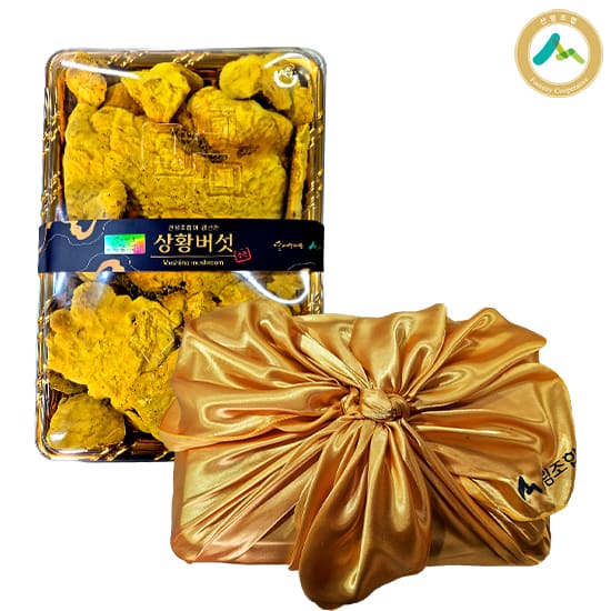 숲에서자란 국내산 상황버섯 프리미엄 선물세트 1박스 (400g)