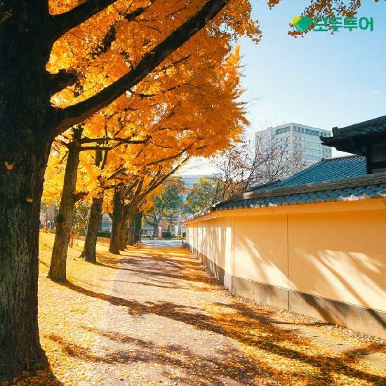 [*여행의신세계]모두투어 큐슈 2박3일 항공+호텔+식사+관광 499천원부터! 2